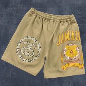 STUSSY Men's Brown Shorts